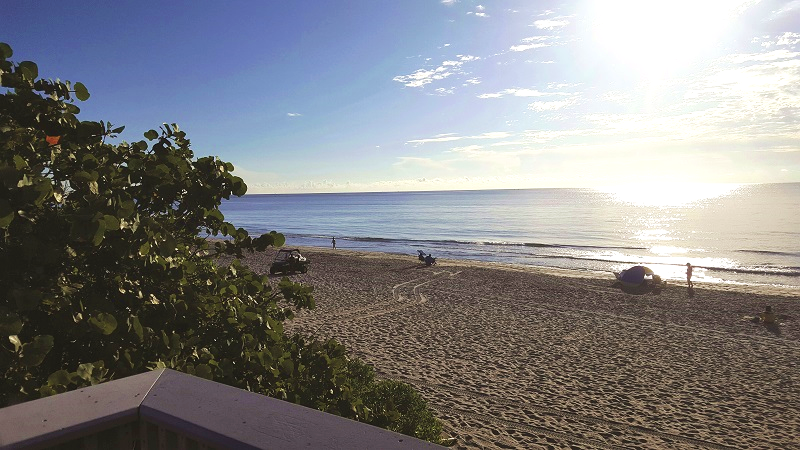 City of Boca Raton, Florida (Palm Beach Relocation Guide)