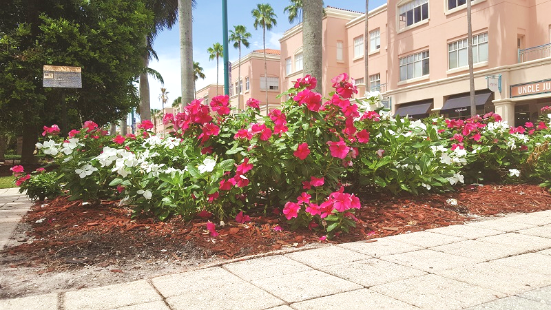 City of Boca Raton, Florida (Palm Beach Relocation Guide)