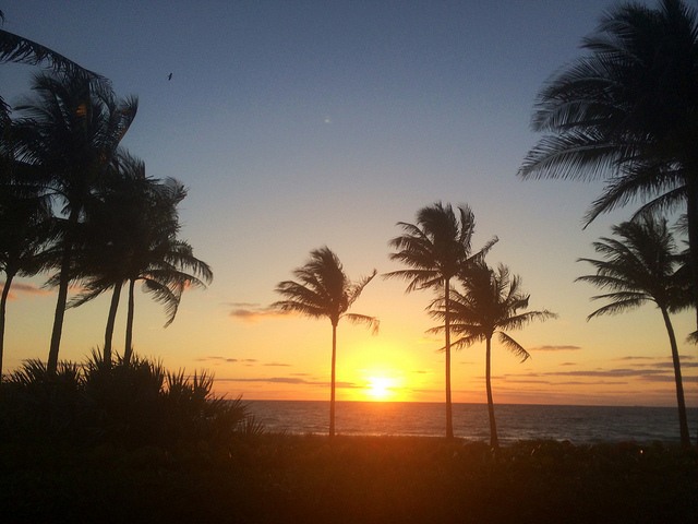 Royal Palm Beach