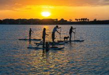 11 Fun Facts About Palm Beach County Learn something new about flourishing Palm Beach County