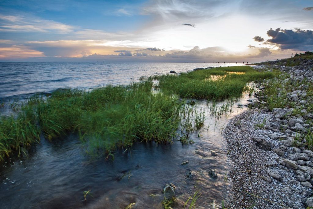 Lake Okeechobee